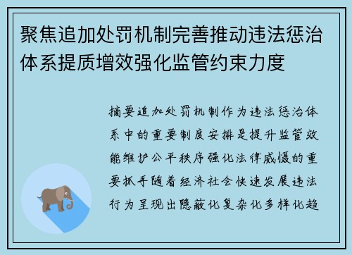 聚焦追加处罚机制完善推动违法惩治体系提质增效强化监管约束力度